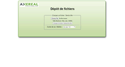 Desktop Screenshot of bigfiles.axereal.com
